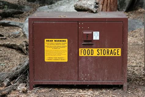 bear steel gun boxes|bear resistant food storage.